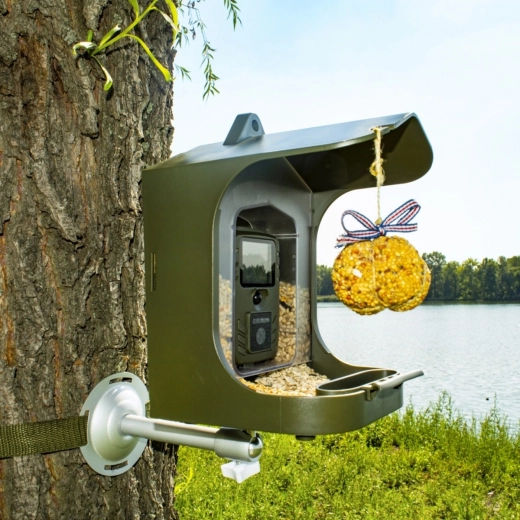 Feeder and camera in one for long-term outdoor use