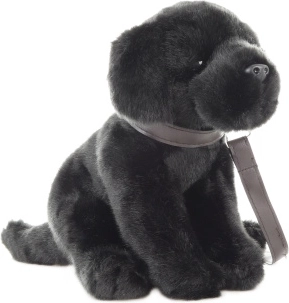 Pliušinis labradoras su pavadėliu 30 cm – ekologiškas