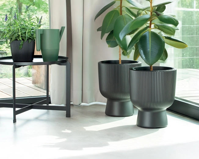 Practical insert with handles for easy care