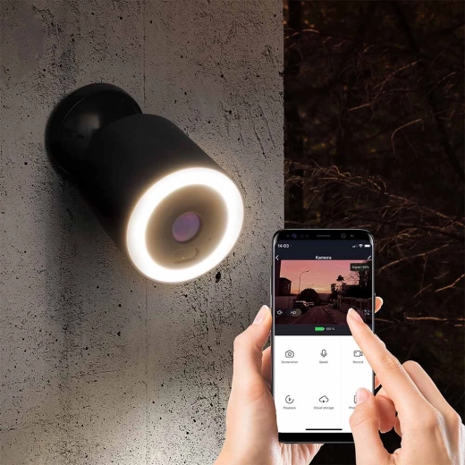 Control in the Smart Life app and motion alerts