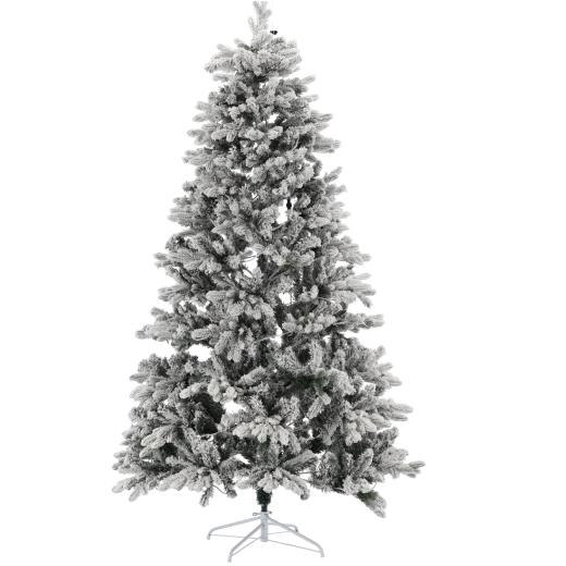 Snow-frosted branches for a winter atmosphere