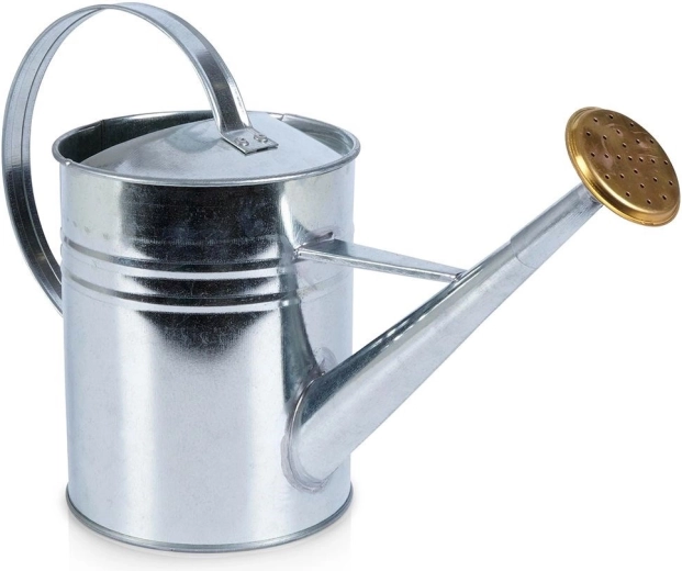 Metalinis laistytuvas 1,9 l