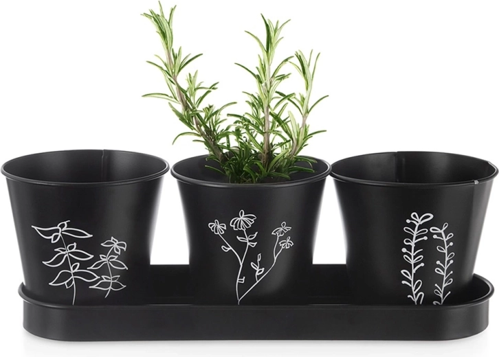 Blackline Herb Planter Set with Saucer, 4 Pieces