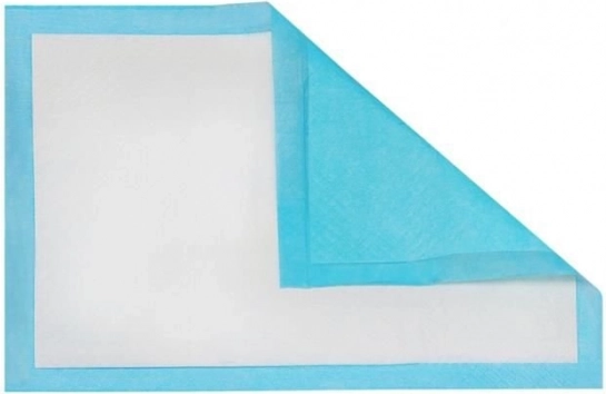 Nepralaidus apatinis sluoksnis