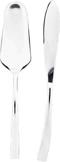 Future Cake Set – Knife and Server in a Gift Box