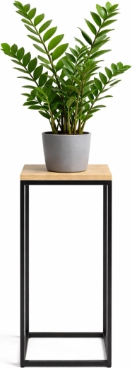 Gėlių vazono stovas RENEW FORCE fos-tall 63 cm, 24 × 24 cm