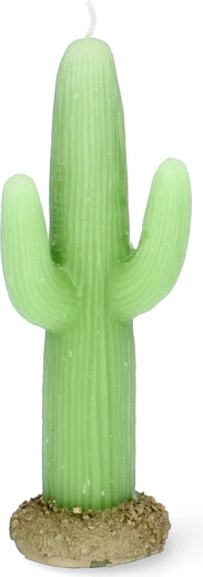 Realistic cactus look