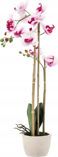 Ideal height 70 cm