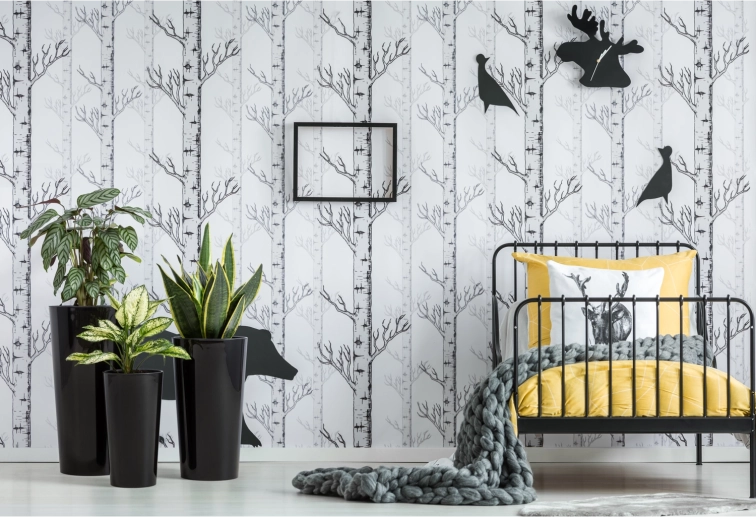 Glossy design that stands out anywhere