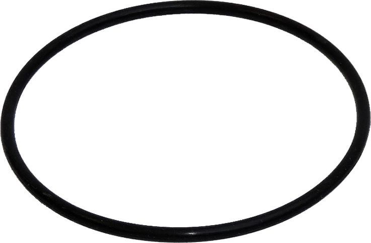 Sealing O-ring for Prostar 2 filter housing
