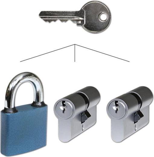 Keyed Alike Set: 2 cylinder inserts 30/35 Ni and padlock 52 RICHTER