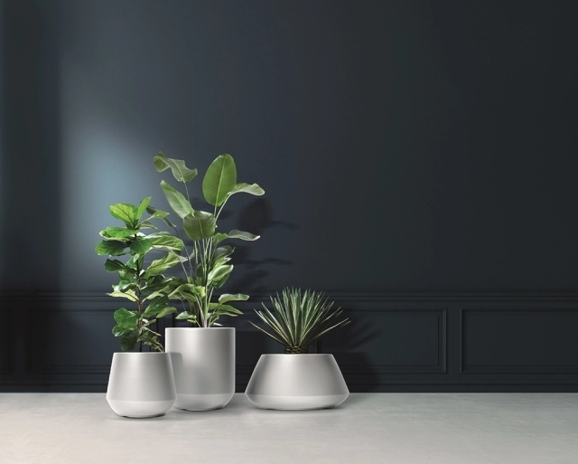 Modern decor for home and office