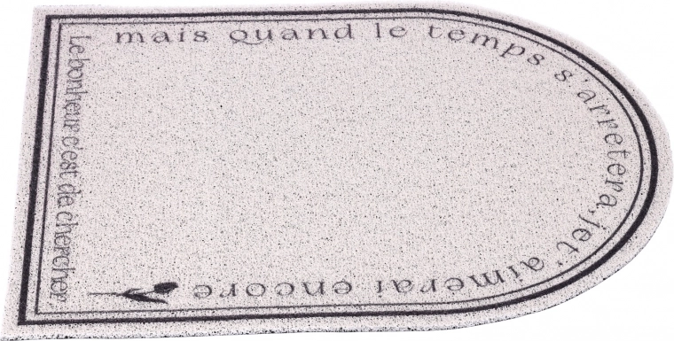 Carpet, doormat, non-slip entrance mat 60 x 90 cm type 4