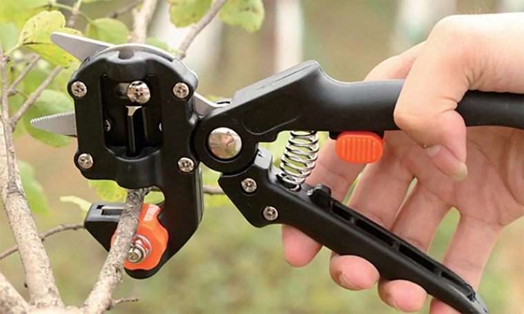 Stainless Steel Grafting Garden Shears 21 cm