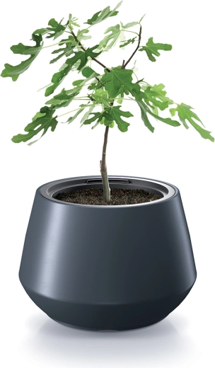 Compact solution for smaller and growing plants