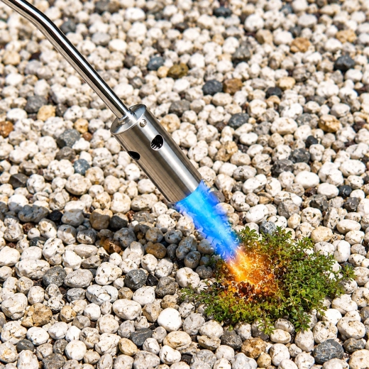 Efektyvus piktžolių išdeginimas be chemijos