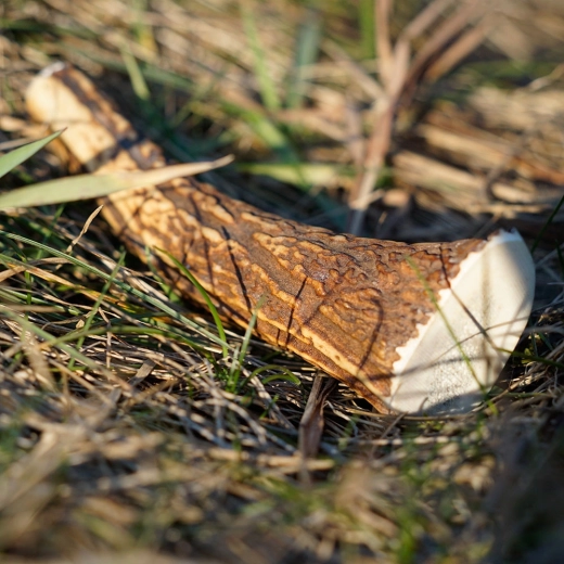 100% natural, odorless and eco-friendly