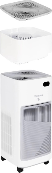 Purification and humidification in one