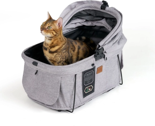 Comfort, ventilation, and calmer travel