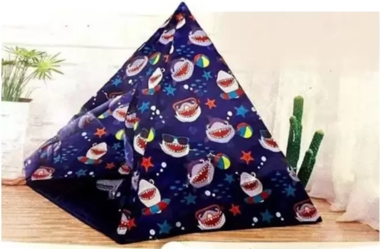 Shark motif kids will love