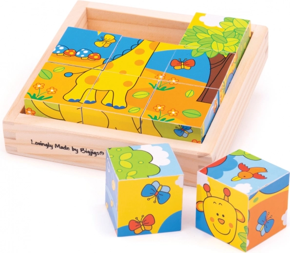 Safari Picture Blocks