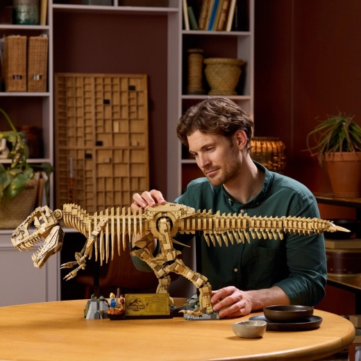 Realistic 1:12 scale skeleton
