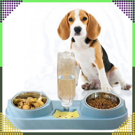 Stabili ir praktiška bazė