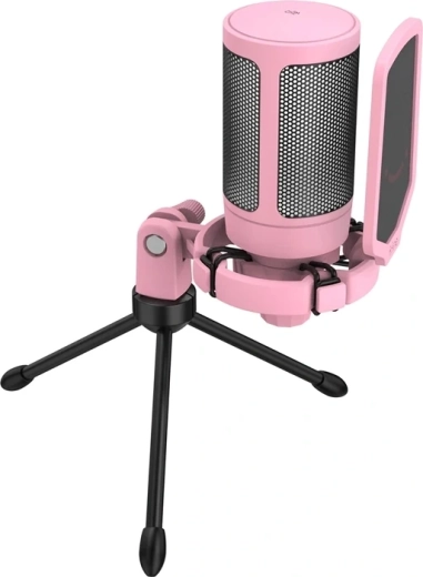 Pop filter for a cleaner voice and fewer distracting sounds