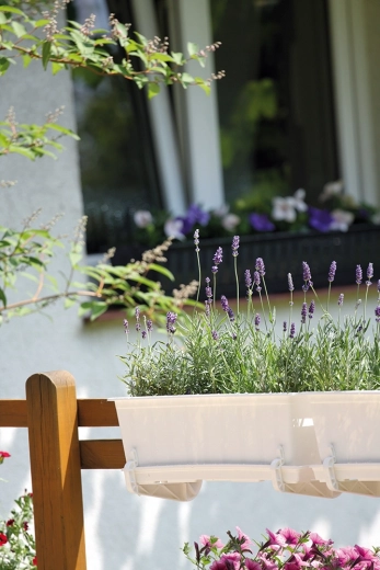 Optimal spacing for longer planters