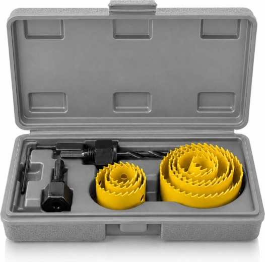 Organized storage in a case
