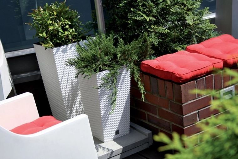 Practical removable insert for easy repotting