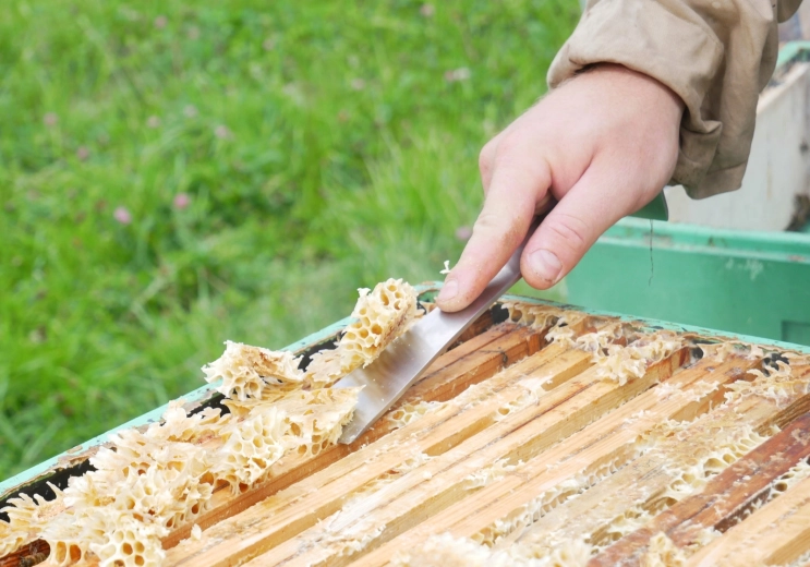 Efficient hive cleaning