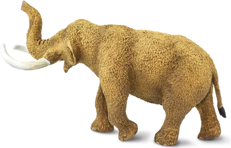 Ideal size for a child’s hand and for display