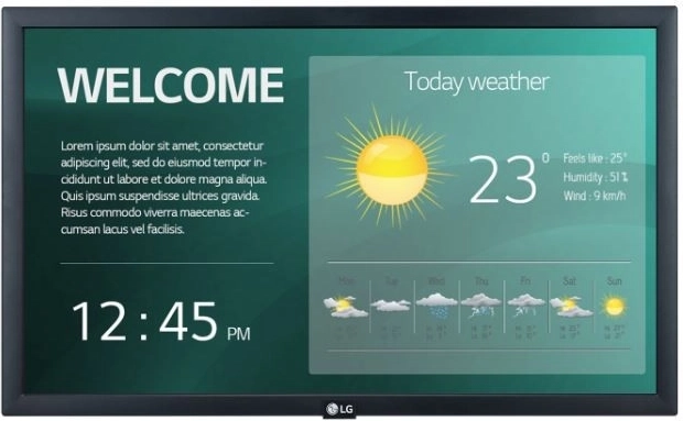 LG 22" professional monitor 22SM3G