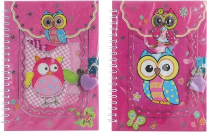 Lockable notebook with little owls
