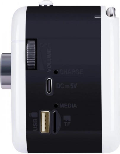 Platus jungiamumas: USB, microSD, AUX
