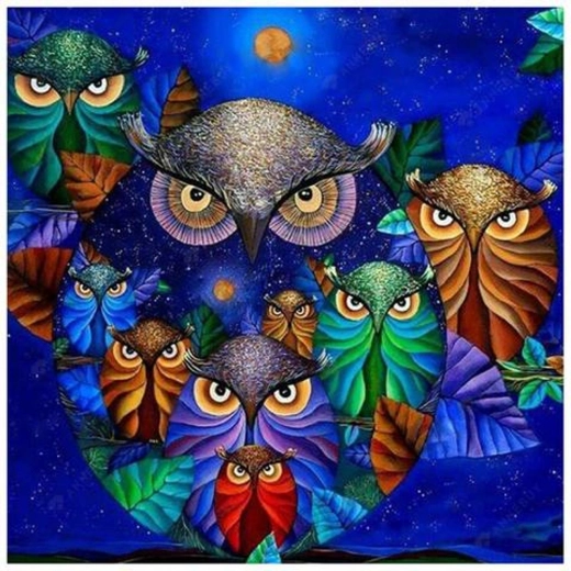 7D deimantinis tapymas – pelėdos naktiniame danguje 30 × 40 cm