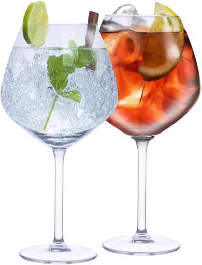 Ginui ir tonikui skirtos taurės ALPINA 730 ml, 4 vnt. rinkinys