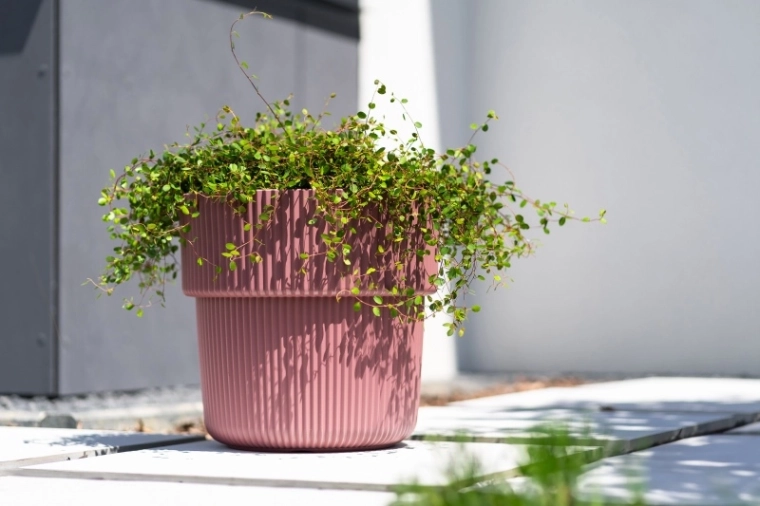 Modern ribbed design for home and patio