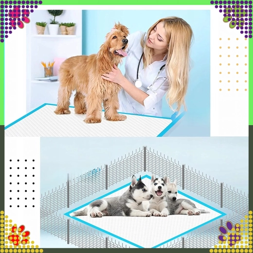 Švara namuose ir kelionėse