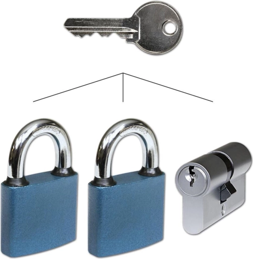 Common Closure Set with 30/35 Ni Cylinder and 2 Padlocks RICHTER