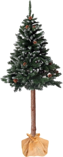 Natural trunk and realistic cones