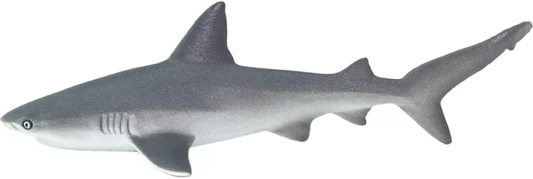 Safari Ltd. ispaninis ryklys (rifinis) – 1 vnt.