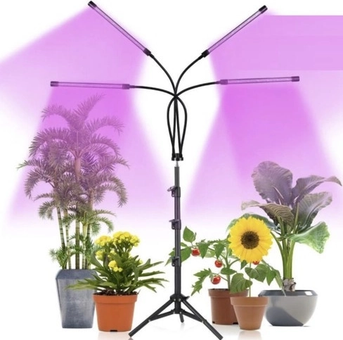 Raudonos ir mėlynos LED fotosintezei palaikyti