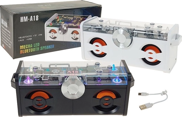 Bluetooth speaker with FM radio and LED backlight