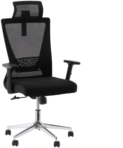 Ergonomic office chair Liono with headrest and mesh backrest