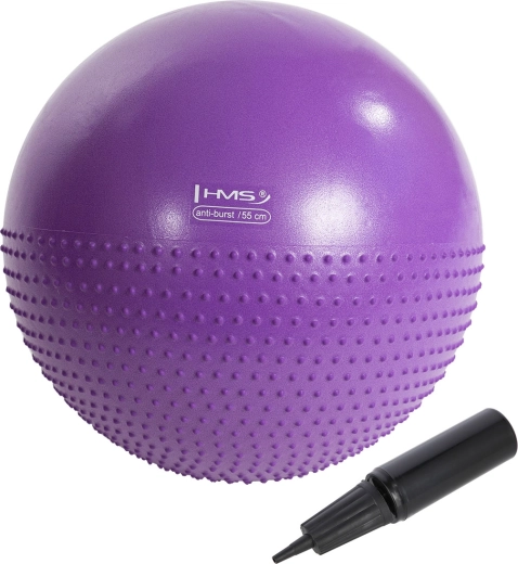 Masažinis gimnastikos kamuolys HMS YB03N 55 cm, violetinis
