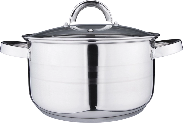 REMO Pot with Lid 4.7 L, 22 cm