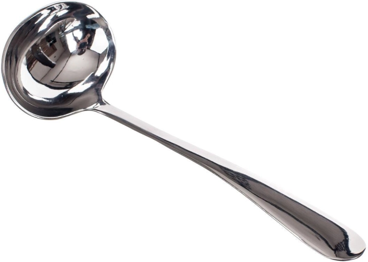 Colette Stainless Steel Serving Spoon