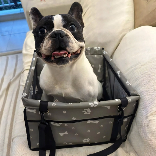 Comfort for your pet and a tidy car